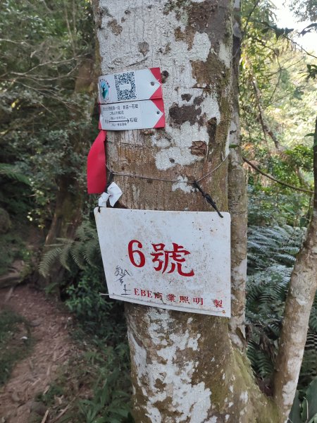 微笑山線：【二格山系】筆架連峰段2920973