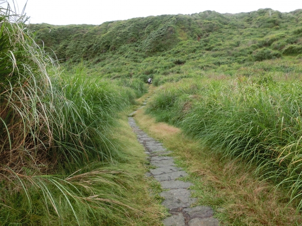魚路古道．擎天崗．竹篙山94445