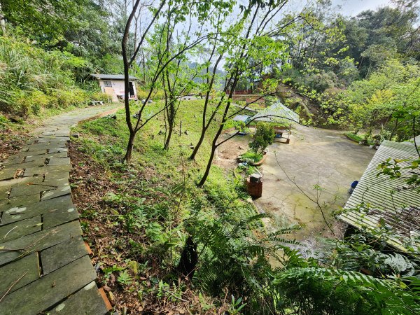 20250309高甫山彩和山大庭頂山金山O型2769626