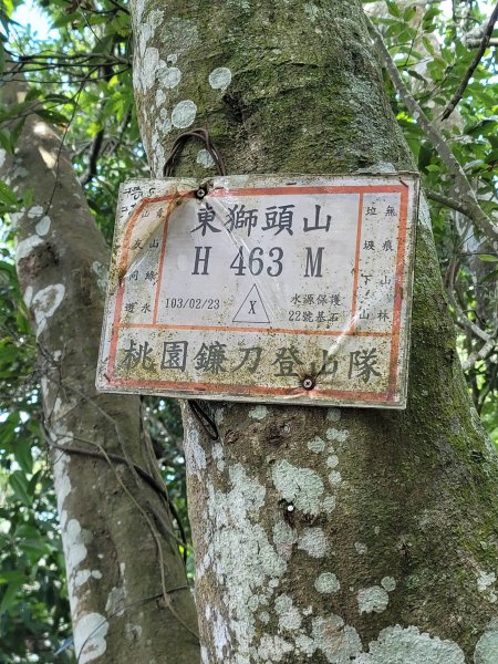 關西赤柯山,東獅頭山步道2281839