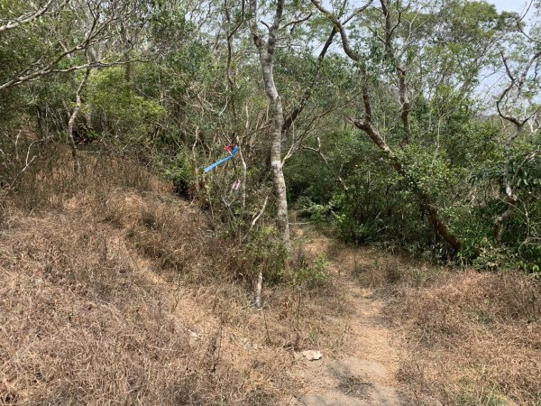 20250404屏東北獅子頭山-霧里乙山2757455