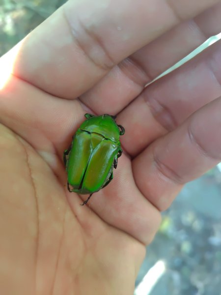 守關山南峰 守關山 守城大山2919095