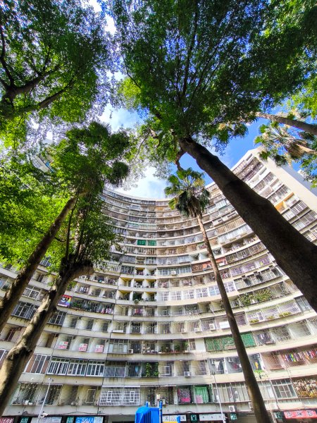 2025-05-25 高雄龜山、半屏山2799114