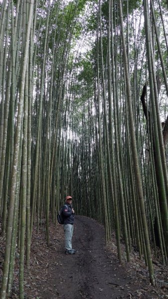 熱血一日霞喀羅賞楓之旅2784989