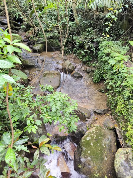 20251108草嶺古道2936125