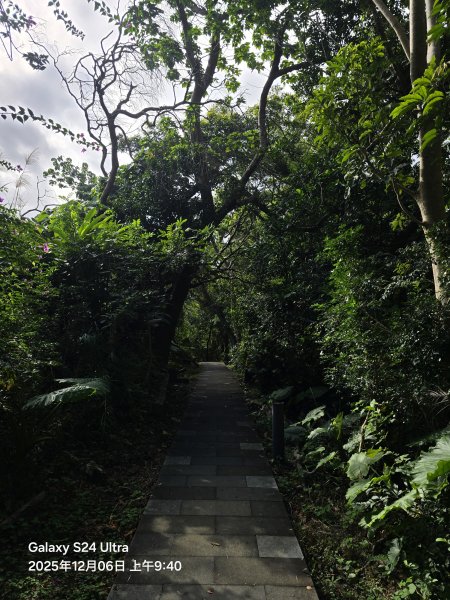 2025-12-06微笑山線：【二格山系】和美山螢火蟲段2956812