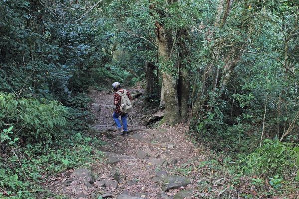 馬那邦山(珠湖線來回)375066