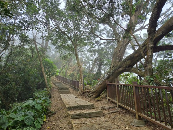 石硦林場（桶頭山）2991256