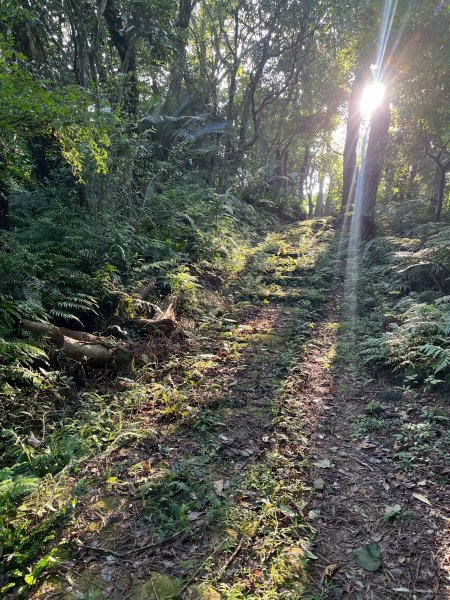 土城頂埔捷運站-大暖尖山-火焰山-承天路-石壁寮溪棧道-永寧捷運站2896426