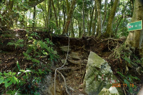 南投 信義 西巒大山1922276