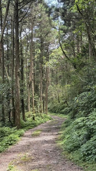 20240814坪溪古道十太和山2574868