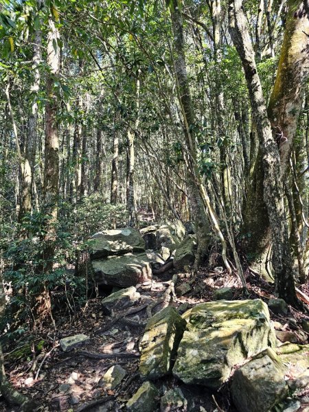 屋我尾山-谷關七雄 老三2962555