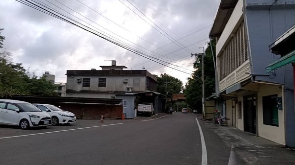 20250517 倒別牛-中坑山-飛鳳山 大O型2790384