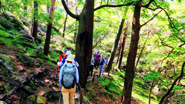 南九州－韓國岳,白鳥山3063932