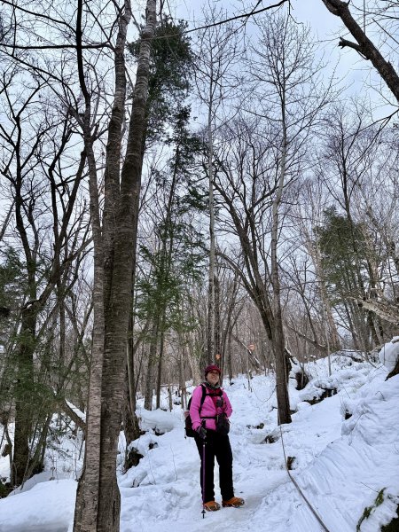 羊草山穿越（雪谷至雪鄉） 2025.12.192976249