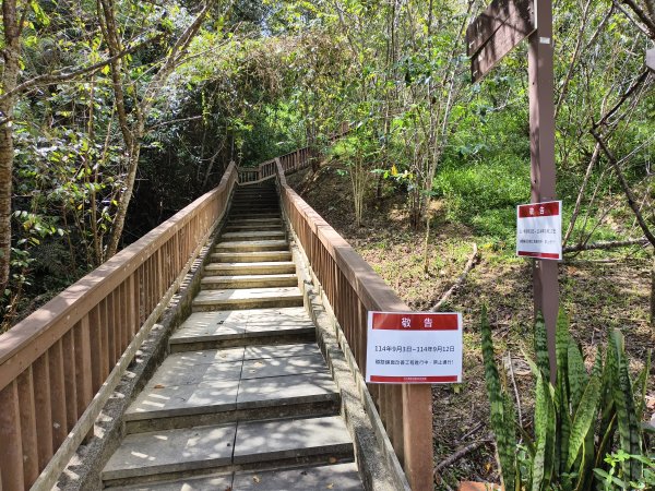 [百山百鳥尋旅-06/15] 2025_0830 貓囒山步道2875704