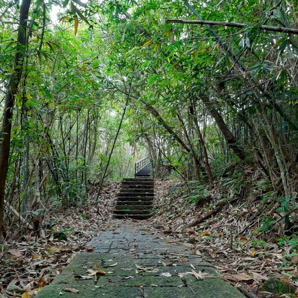 小百岳寶石〡No.8大崙頭山 9劍潭山936474