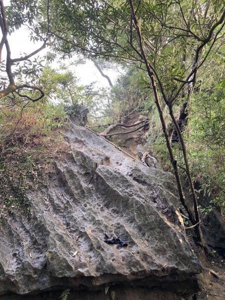 皇帝殿登山步道1170399