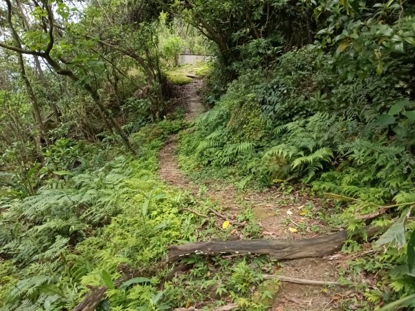 瑞芳區瑞芳四秀(白象山+秀崎山+瑞芳山+龍潭山)2785213