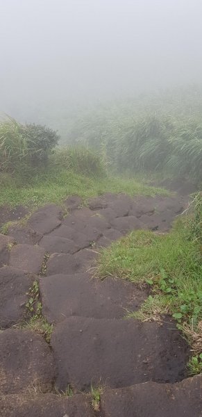 苗圃登山口-七星山主東峰-夢幻湖618902