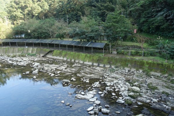 大舌湖步道 虎寮潭3086052