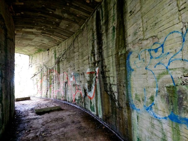 (二格山系)和美山螢火蟲-2025微笑山線大縱走尋寶集章任務2855247