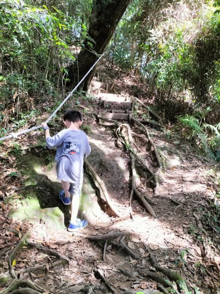 五指山登山步道2269256