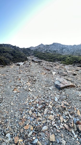 東埔-排雲-玉山西峰-玉山主峰2753226