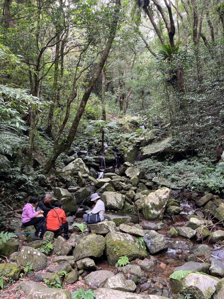 桃園 復興/新北 三峽 東滿步道2314906