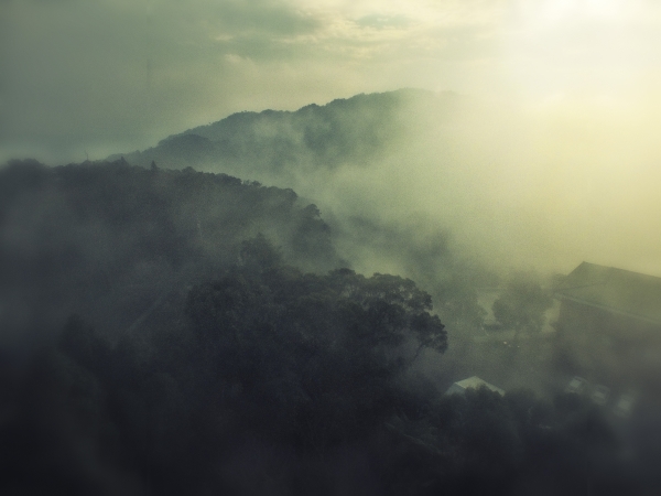 苗栗--薑麻園步道7478