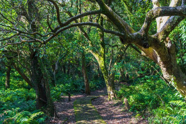 [台北]紗帽山2956591