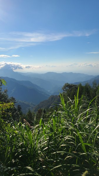 新竹五峰-油羅山2651287