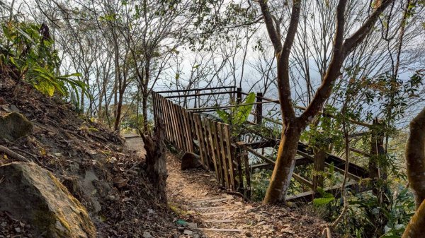 竹仔尖山步道3002512