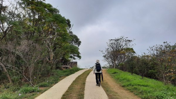 《新竹》城市微旅｜青青草原及香山濕地賞蟹步道202112121547110