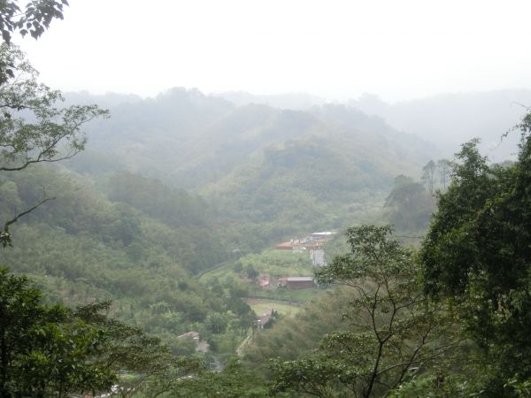 百吉林蔭步道．慈湖頭寮221562