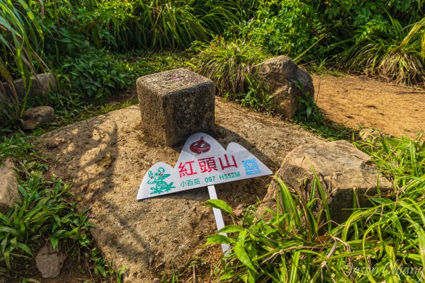 蘭嶼紅頭山3095859