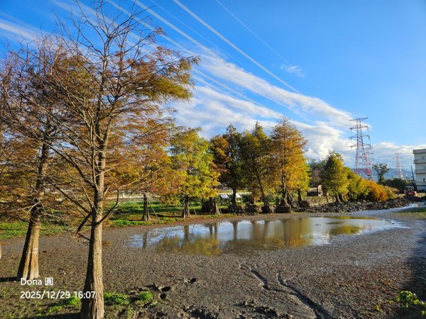 20251229石龜坑山上白石山下白石埤O走+阿姆坪2976746