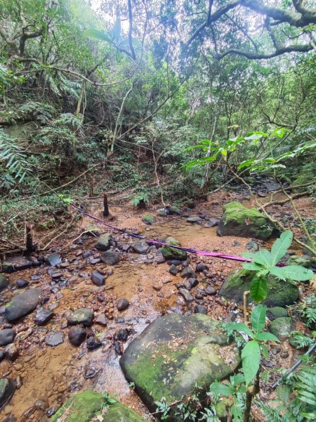 萬中瀑布-瑪鍊山-大路嶺古道-村長古厝-金剛岩-獅頭瀑布3005076