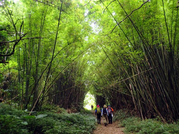 涼喔! 萬里玉田古道-八斗山-鏡湖, 另外加碼海龜岩