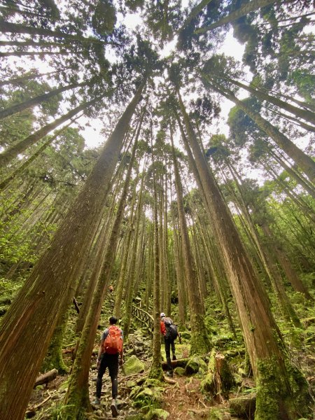 橫嶺山散步趣    2022/8/171809056