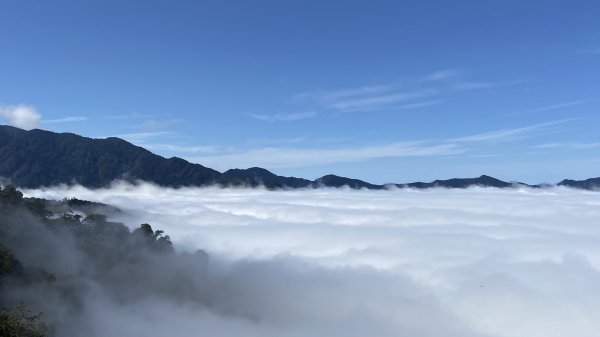 漫步在雲端~觀霧1533327