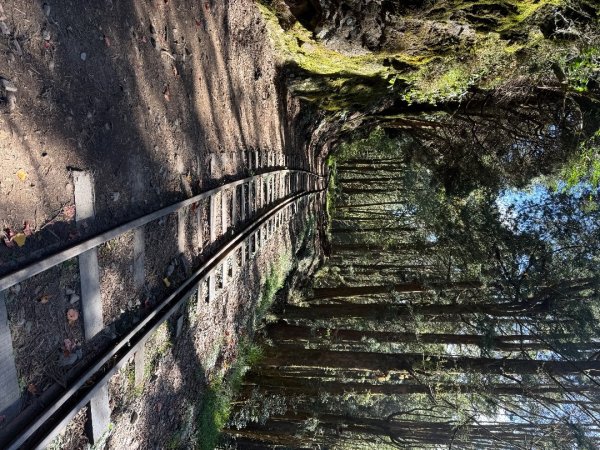 1141215塔山步道2962691