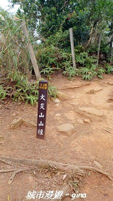 【苗栗三義】台灣百大必訪步道。 火炎山、南鞍古道O繞x火炎山下花海2954169