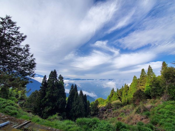 郡大碰碰車952496