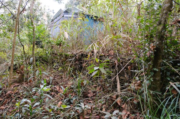 觀望山(德文山)2736174