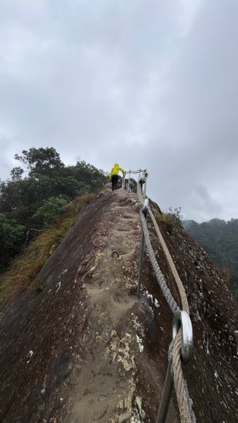 迎新（2026元旦2975573