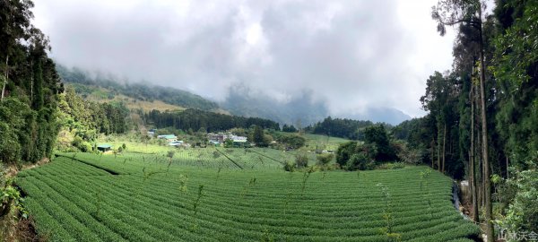 2023-10-29 頂湖直上大凍山2330925