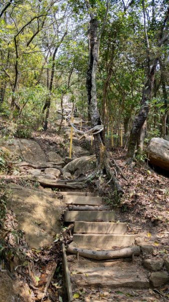 內湖金面山步道890427