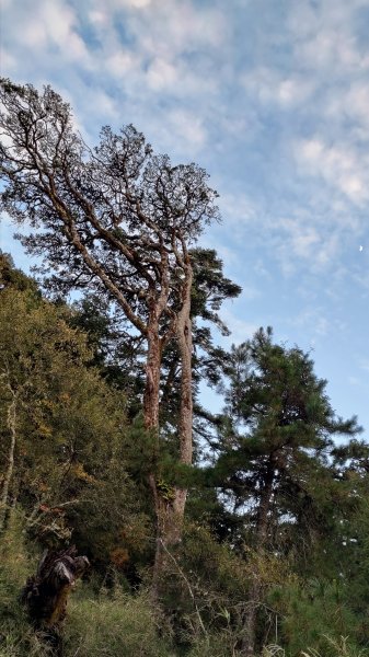 閂山、鈴鳴山1514338