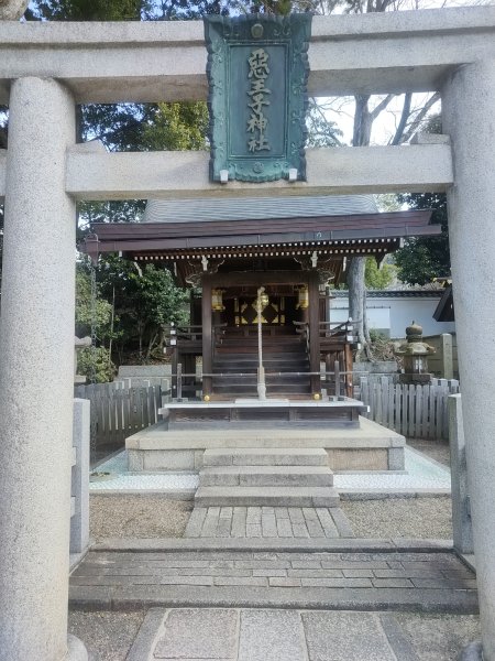 京都清水寺2453621